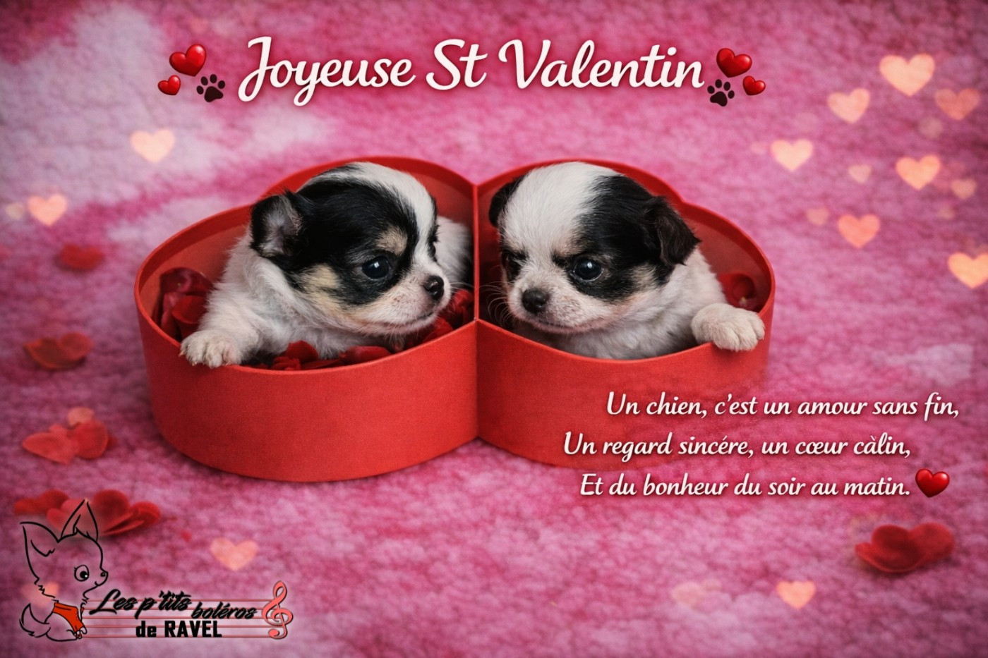 Joyeuse St Valentin